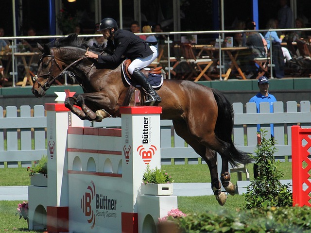 制了他的出 制了他的出