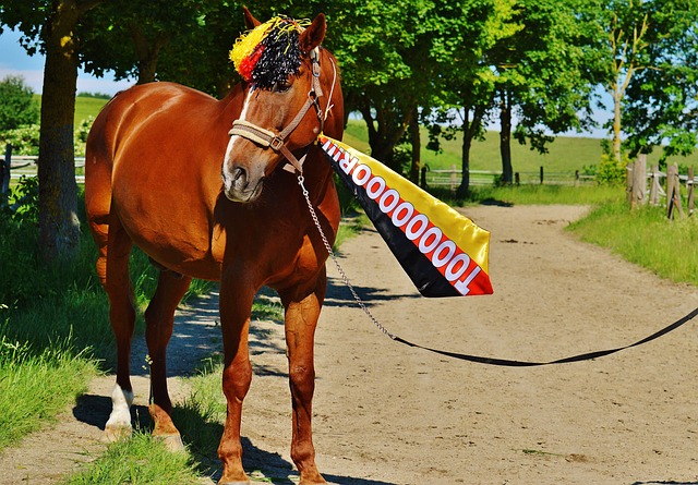 一個成功的 一個成功的