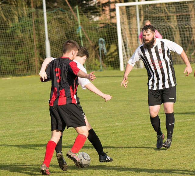 队之所以能 队之所以能