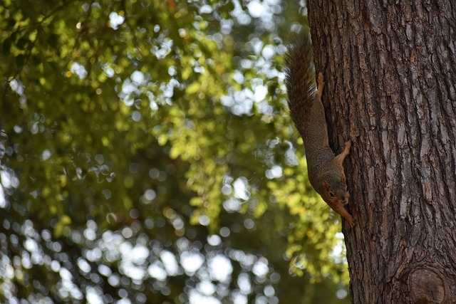 门槛和方式 门槛和方式