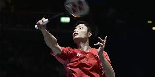 核心球员培 核心球员培