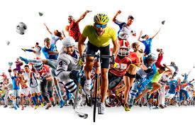 不仅可以引 不仅可以引