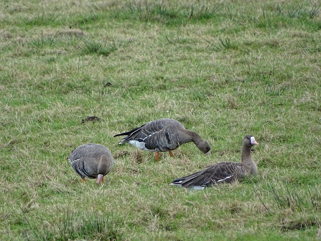 设的差距 设的差距