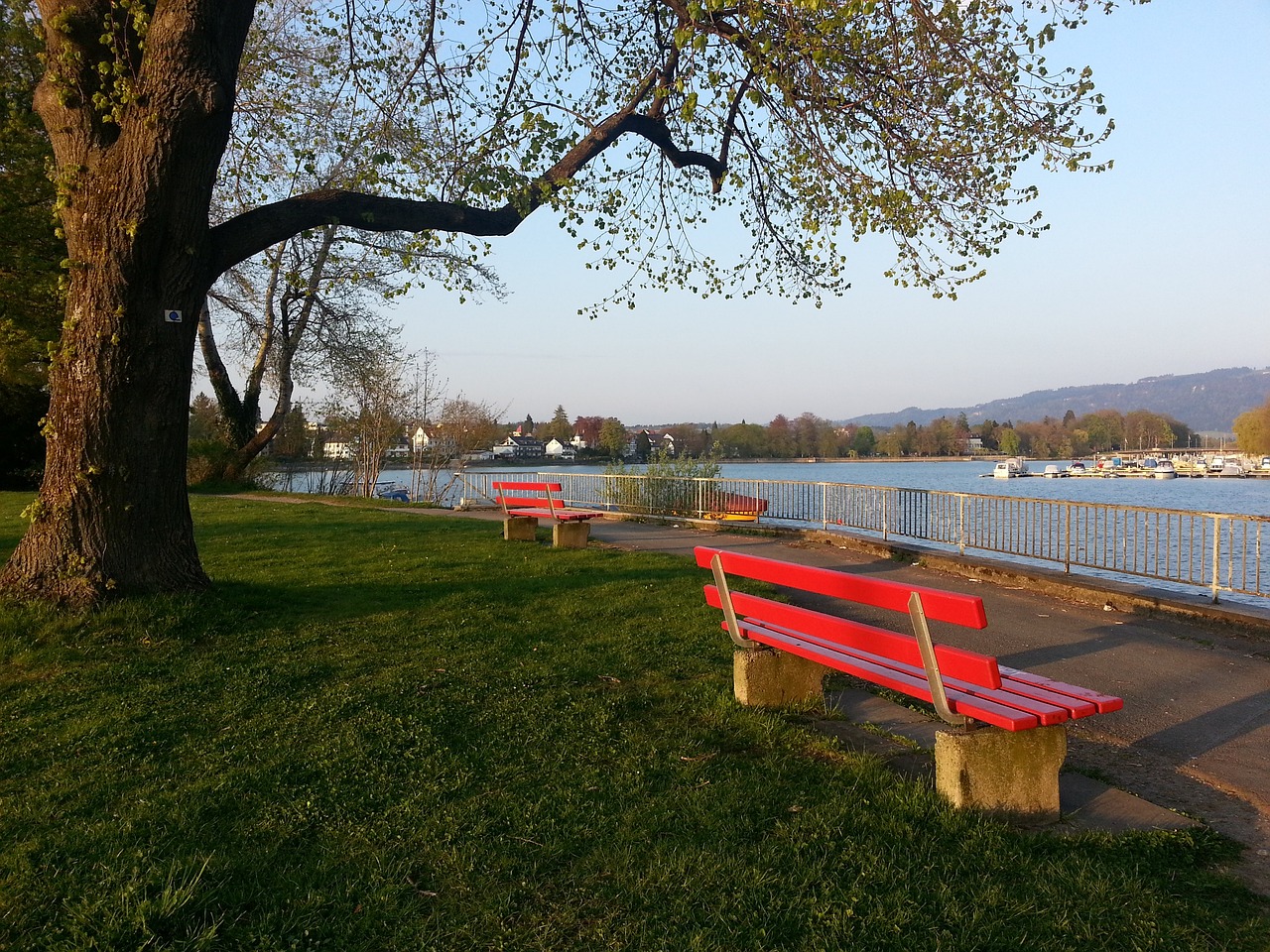 成为了展现 成为了展现