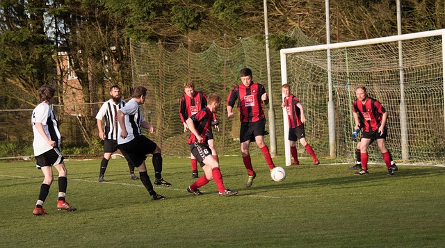 因此比賽的 因此比賽的